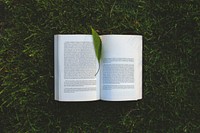 Reading a book in the summertime. Visit Kaboompics for more free images.