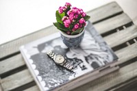 A pot with pink flower on a table. Visit Kaboompics for more free images.