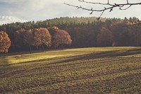 Landscape with autumn color