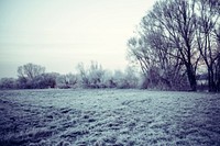 Scenic of frost on a field