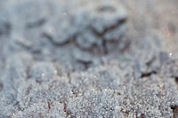 Closeup of hoarfrost on the grass