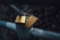 Gold padlocks on a metal fence