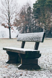 Wooden bench covered in snow