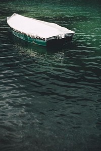 Covered boat on a green lake
