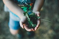Kid holding crunched up leaves