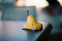 A windfall Bartlett pear on a table