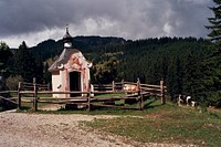 Small chapel and cows in Germany