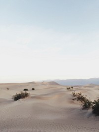 Mesquite Flat Sand Dunes, Death Valley National Park