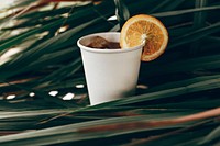 Cold drink in a paper cup