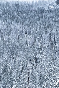 Winter in Yosemite Valley, USA