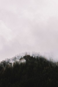 Fog above the mountain