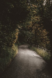 Rural road under the light