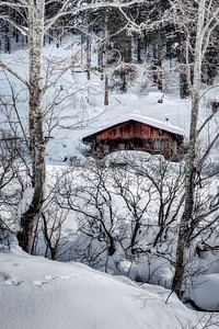 Wooden cabin in the snowy woods
