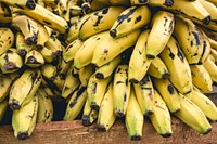 Cuban bananas closeup