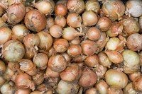 Onions in a farmers&#39; market