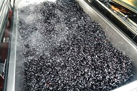 Black rice being cooked