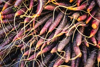 Red carrots at a farmers market