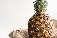 Closeup of a tropical pineapple