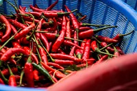 Vegetables at a market in Thailand