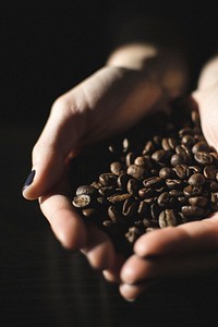 Hand holding coffee beans