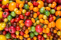 Colorful heirloom tomatoes