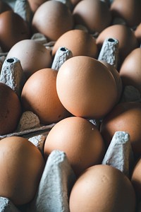 Eggs in a carton