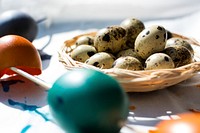 Painting quail eggs for Easter
