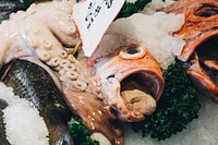 Octopus and fish being sold at a fish market