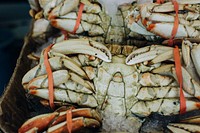 Fresh king crab at a fish market