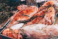 Fish sold in a market
