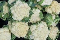 Closeup of cauliflower