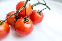 Fresh tomatoes