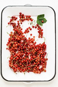 Fresh redcurrants in a tray. Visit <a href="https://monikagrabkowska.com/" target="_blank">Monika Grabkowska</a> to see more of her food photography.