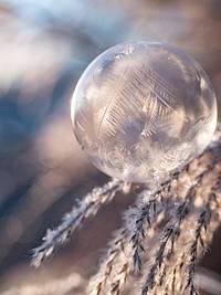 Glass ball in a winter landscape