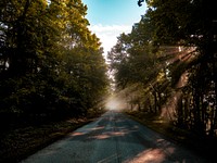 View of Blue Ridge Parkway with sunlight