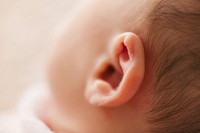 Free closeup baby ear image, public domain CC0 photo.