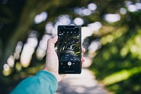 A hand holds up a smartphone taking a picture of a tree-lined path.