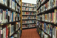 Free library shelves with many books photo, public domain CC0 image.