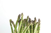 Closeup of a group of freshly washed asparagus.