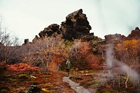 A person enjoying the hike through nature in the middle of a colorful autumn.