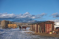 Horses enjoy the last few minutes outside their corral after returning from a romp in the snow at the Midland Ranch, in the shadow of the Wind River Range of the Northern Rockies in remote Sweetwater County, Wyoming.