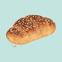 Freshly baked multigrain bread hand-drawn illustration