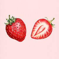 Hand drawn strawberry illustration