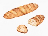 Freshly baked baguette hand-drawn illustration