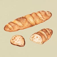 Freshly baked baguette hand-drawn illustration