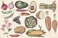 Hand drawn vegetables set illustration