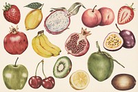 Hand drawn tropical fruits set illustration
