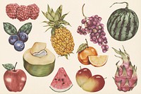 Hand drawn tropical fruits set illustration