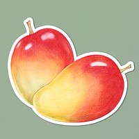 Fresh apple mango illustration psd food drawing