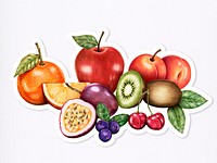 Fresh summer fruits assorted psd organic illustration